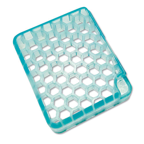 myfresh Refill, Alpine Forest, 6/Box-(FRSMYFF6I036M89)