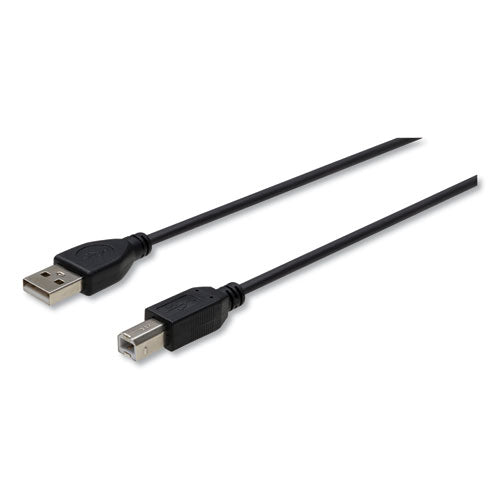 USB Cable, 10 ft, Black-(IVR30005)